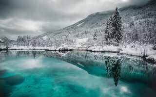 © Domen Dajčman